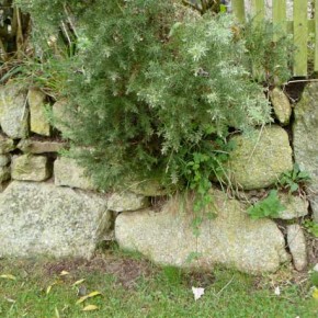 Cornish Hedging