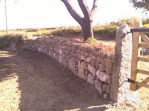 Classic Cornish hedging with a granite gate post.