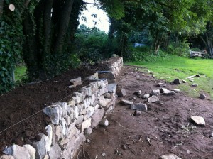 Using a line to give the hedge a lovely flat finish.