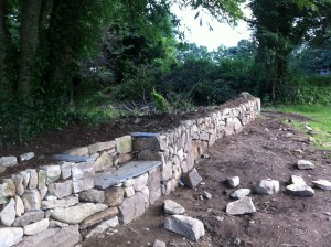 The idea for the bench came naturally as we had to curve the hedge around the root formation of the tree on the old Cornish hedge.