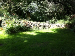 Lovely little stone wall after a few months growing in.
