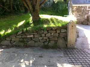 Small hedge to form a gateway.