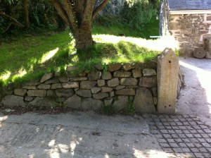 Small hedge to form a gateway.