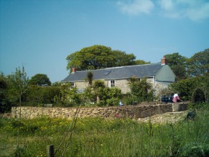 Lovely curved hedge