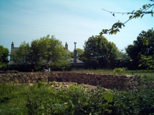 The inside curve of the hedge.