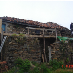 Here we can see Rue building the scaffolding out of the local eucalyptus wood.