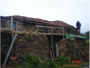 Here we can see Rue building the scaffolding out of the local eucalyptus wood.