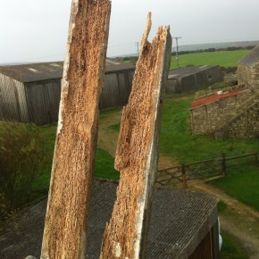 Here are a couple of pieces of the old wall plate . As you can see there was'nt much left of them!!