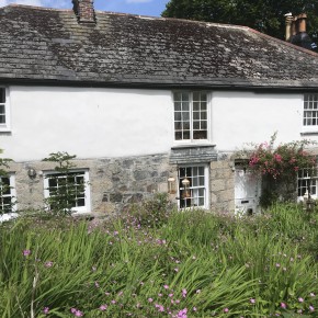 Vine Cottage. Cob Repair